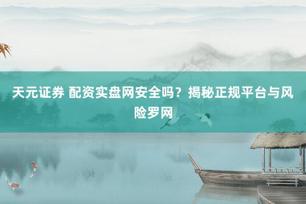 天元证券 配资实盘网安全吗？揭秘正规平台与风险罗网