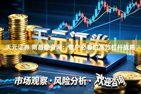 天元证券 南昌配资网：散户必看的高效杠杆战略